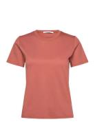 Siru Tops T-shirts & Tops Short-sleeved  Tiger Of Sweden