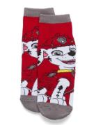 Socks Jarrusukat Red Paw Patrol