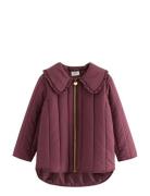 Jacket Warm Padded With Collar Toppatakki Purple Lindex