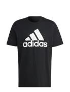 M Bl Sj T Sport T-shirts Short-sleeved Black Adidas Sportswear