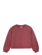 Sweatshirt Ls Tops Sweat-shirts & Hoodies Sweat-shirts Red En Fant