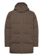 Classic Puffer Jacket Vuorillinen Takki Topattu Takki Brown Lexington ...