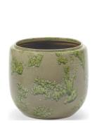 Flower Pot M Mystique Green Costa Home Decoration Flower Pots Green Se...