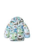 Harpo Toppatakki Blue Molo