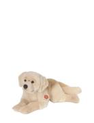 Lying Golden Retriever 60 Cm Toys Soft Toys Stuffed Animals Beige Tedd...