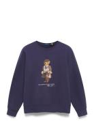 Polo Bear Fleece Sweatshirt Tops Sweat-shirts & Hoodies Sweat-shirts N...