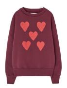 Hearts Browned Farnet Bear Sweatshirt Tops Sweat-shirts & Hoodies Swea...
