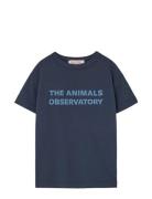 Navy Orion T-Shirt Tops T-shirts Short-sleeved Navy THE ANIMALS OBSERV...