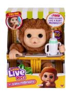 Little Live Pets My Baby Monkey Toys Soft Toys Stuffed Animals Brown L...