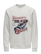 Onsxmas Reg Crew Hp Tops Sweat-shirts & Hoodies Sweat-shirts Grey ONLY...