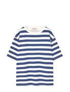Stripes Navy Collie T-Shirt Tops T-shirts Short-sleeved Navy THE ANIMA...