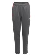 Individualliga Training Pants Jr Bottoms Sweatpants Grey PUMA