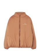 Crocodile Kid Puffer Jacket Almond Brown Toppatakki Brown THE ANIMALS ...