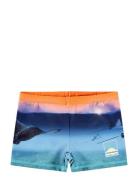 Norton Placed Uimashortsit Navy Molo