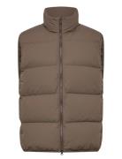 Script Liivi Brown Scandinavian Edition