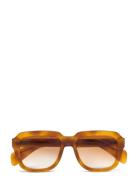 Labs 5Th Havana Neliönmuotoiset Aurinkolasit Brown Chimi